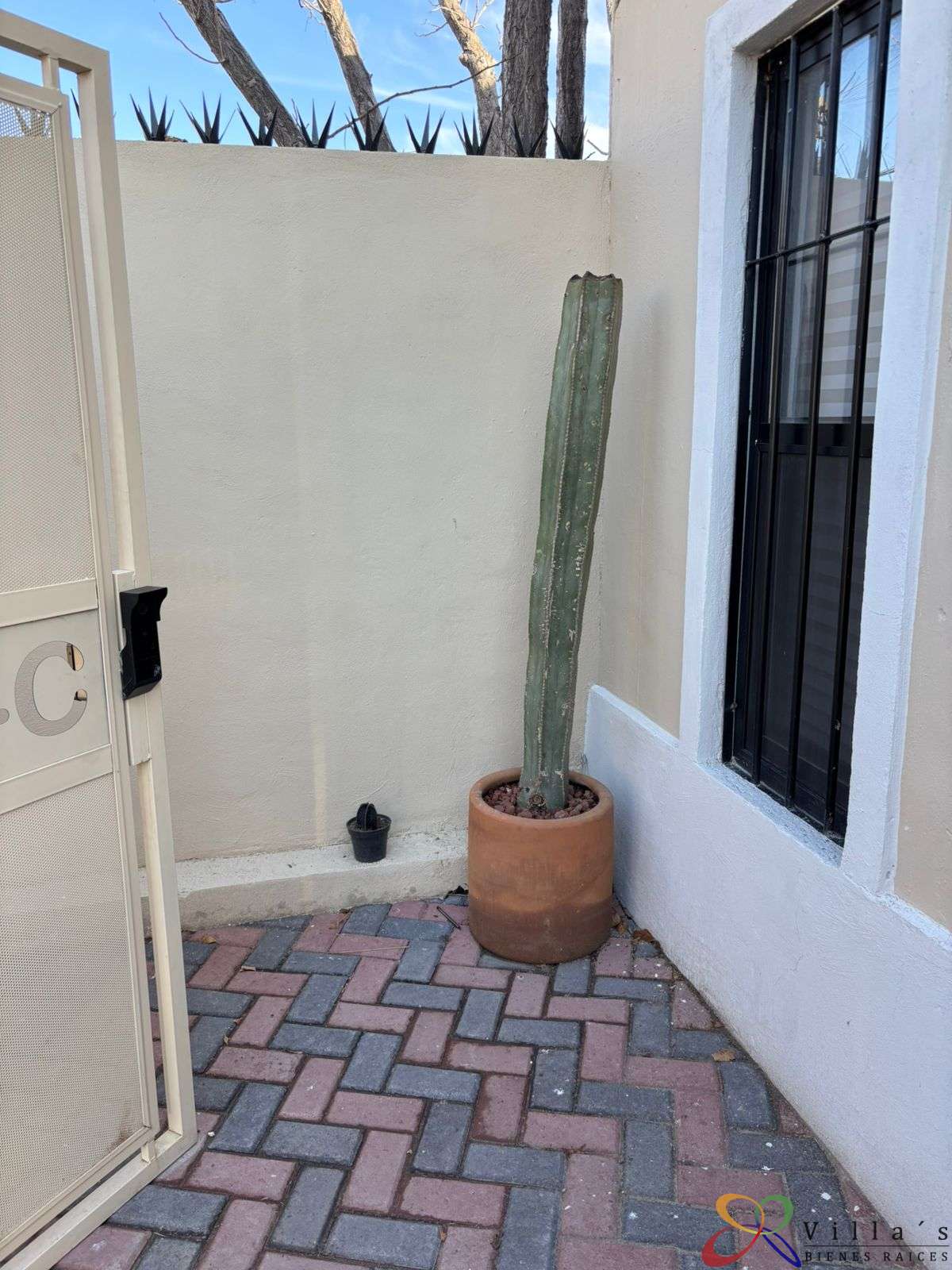 planta de entrada.jpeg